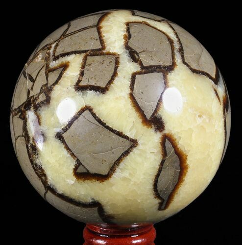 Polished Septarian Sphere - Madagascar #60525